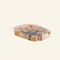 Petrified wood soap dish