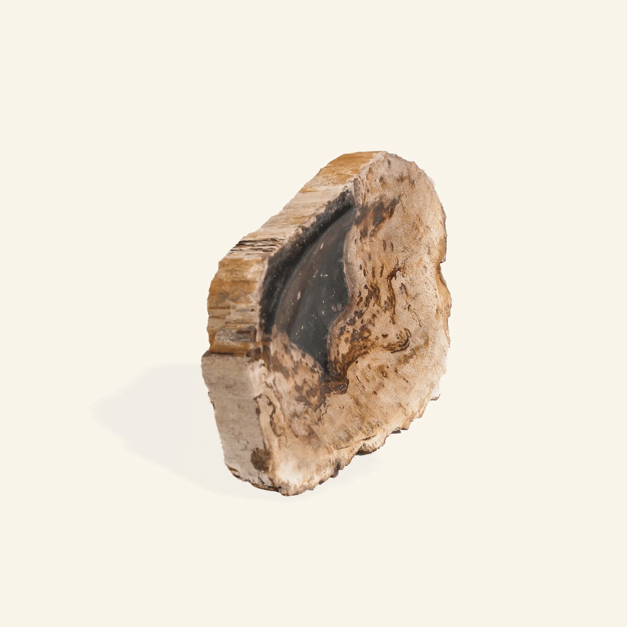 Petrified wood soap dish