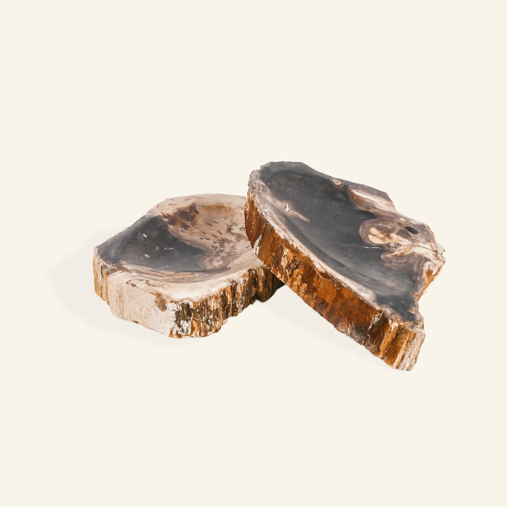 Petrified wood soap dish