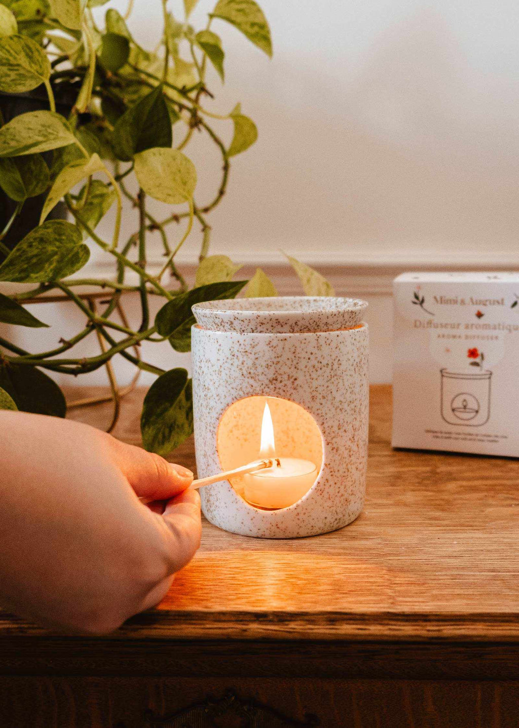 The Aromatic Ceramic Diffuser