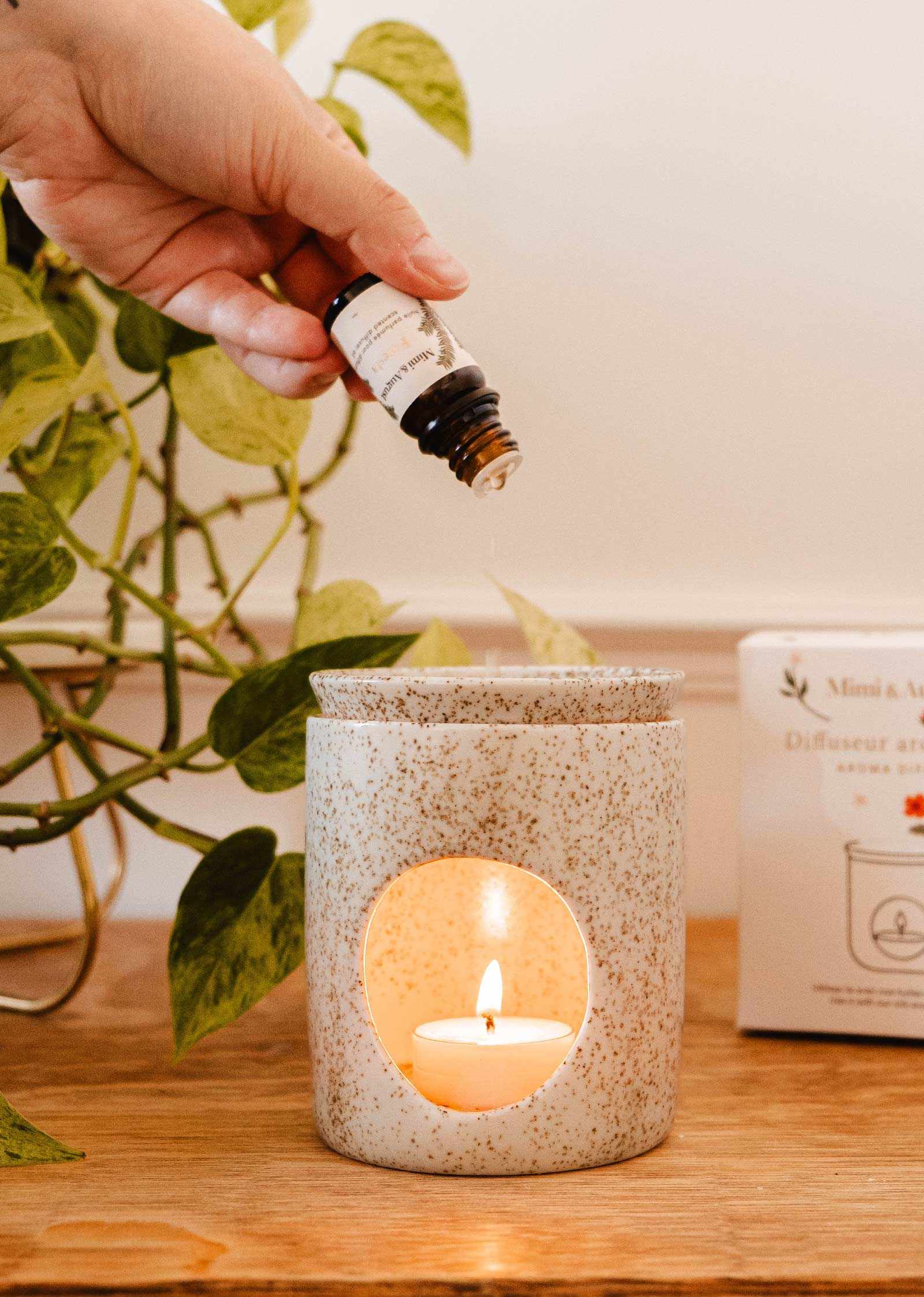 The Aromatic Ceramic Diffuser