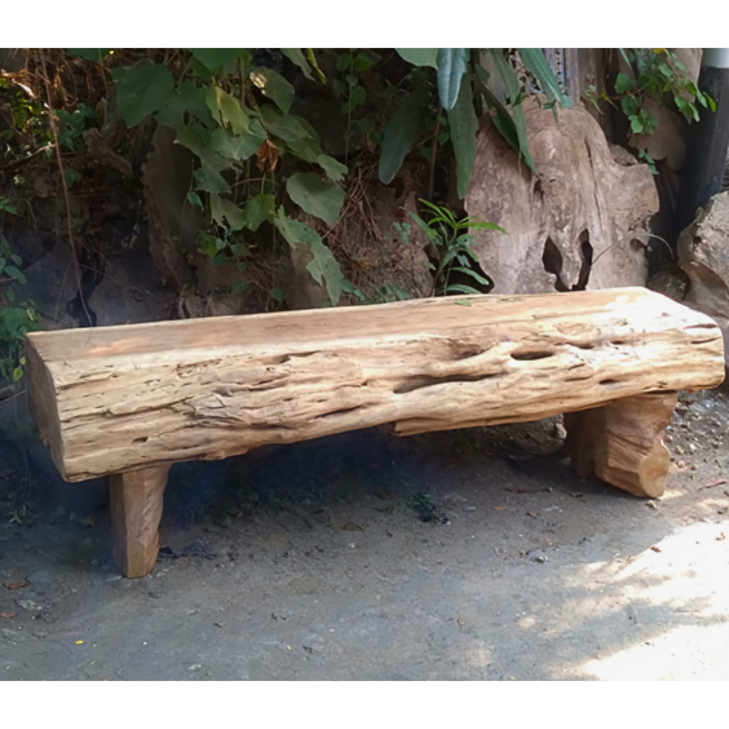NEW The Beech Bench - Old Teak