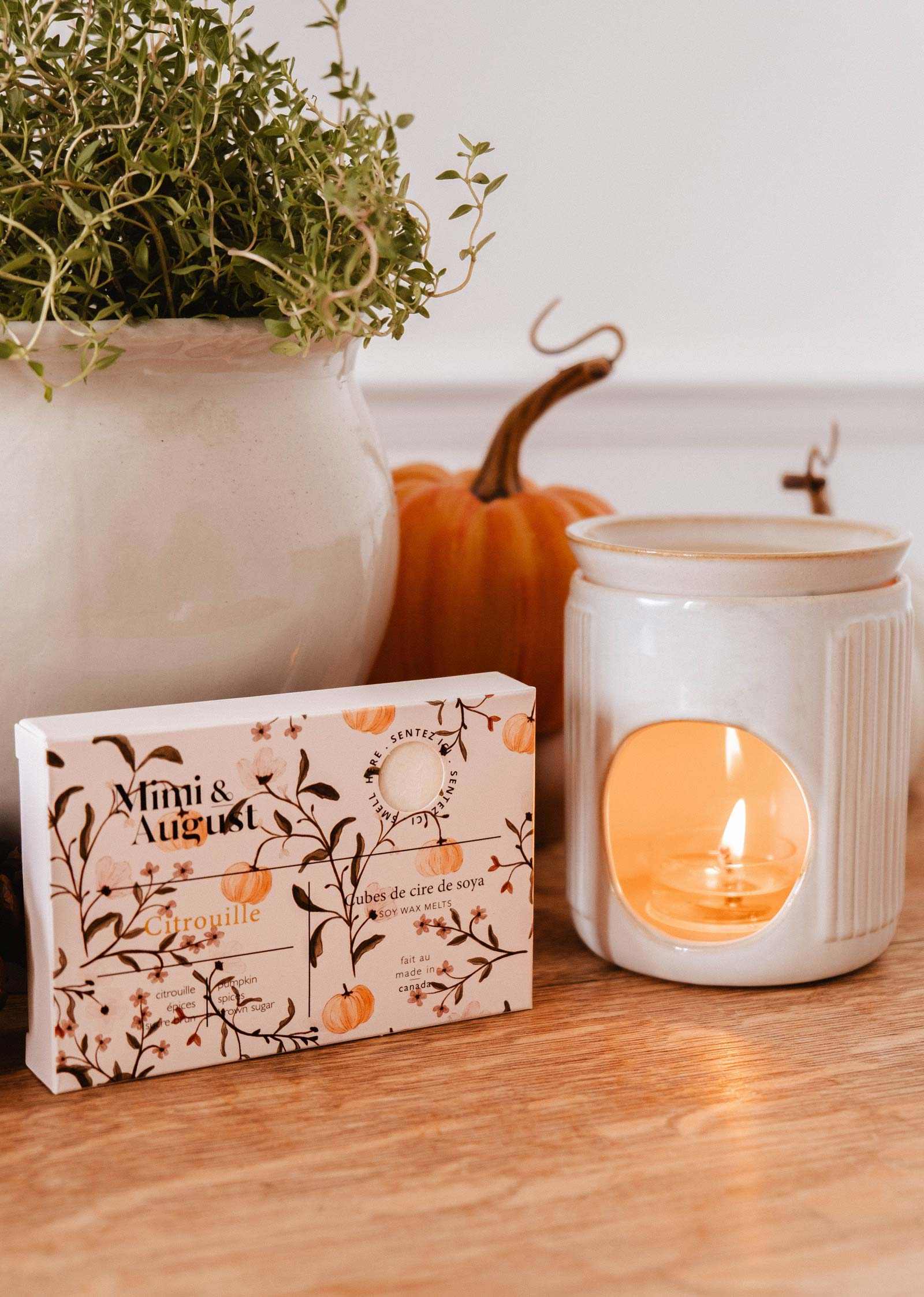 The Citrouille Soy Wax Melts